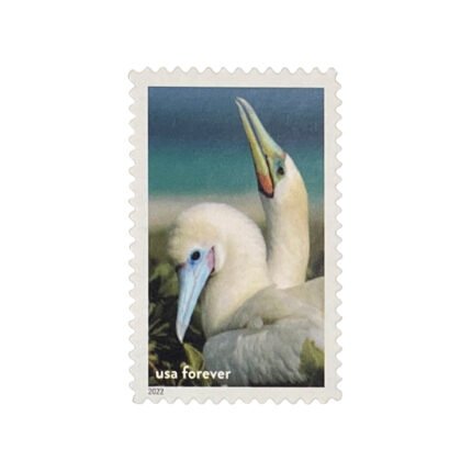 National Marine Sanctuaries Stamps 2022 First-Class Forever Postage Stamps