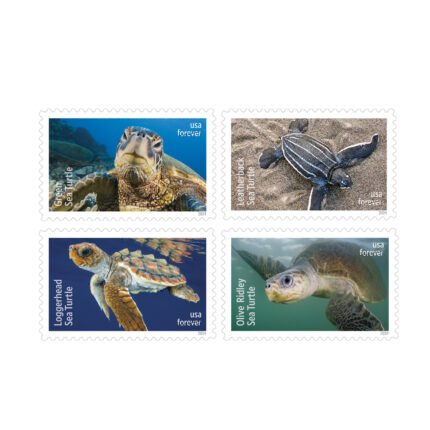 Protect Sea Turtles Stamps