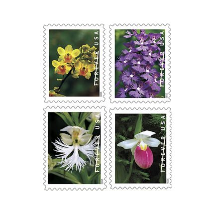 Wild Orchids Forever Stamps