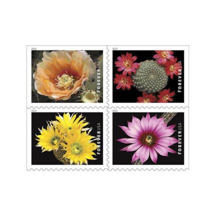 Cactus Flowers Forever Stamps